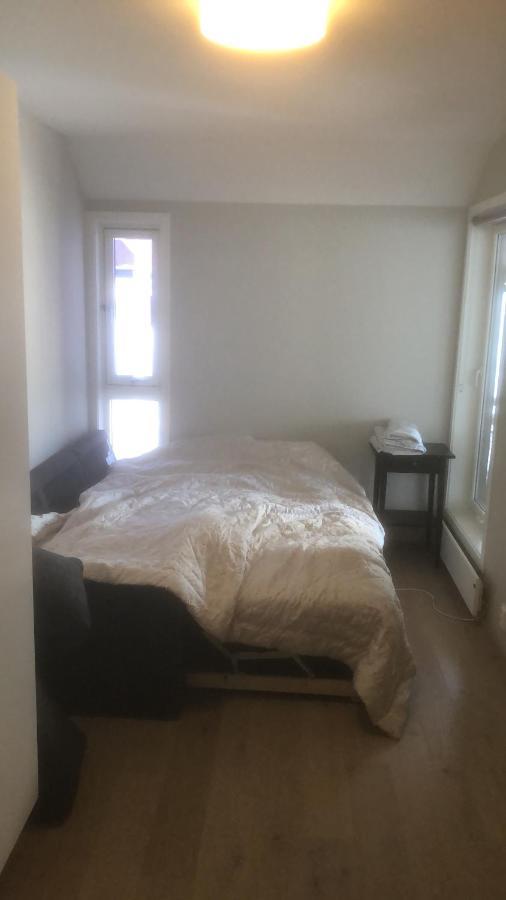 Penthouse Sentralt I Oslo Apartman Kültér fotó