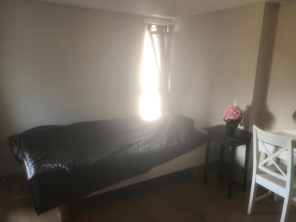 Penthouse Sentralt I Oslo Apartman Kültér fotó